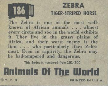 1951 Topps Animals of the World (R714-1) #186 Zebra Back