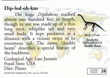 1993 Redstone Dinosaurs Mesozoic Era #28 Diplodocus Back