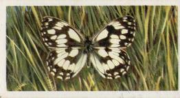 1973 Brooke Bond British Butterflies #5 Marbled White Front