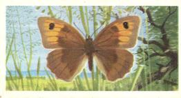 1973 Brooke Bond British Butterflies #7 Meadow Brown Front