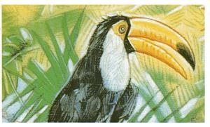 1994 Brooke Bond Going Wild #32 Toco Toucan Front