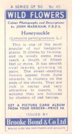 1955 Brooke Bond Wild Flowers #45 Honeysuckle Back