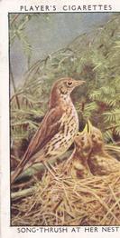 1932 Player's Wild Birds (Small) #39 Song-Thrush at Her Nest Front