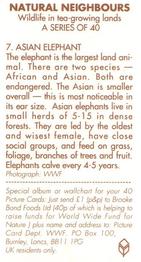 1992 Brooke Bond Natural Neighbours #7 Asian Elephant Back