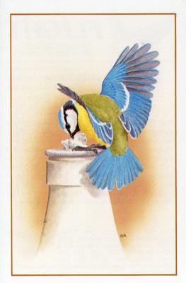 1983 Cadbury's Flight : The World's Most Spectacular Birds #7 Blue Tit Front