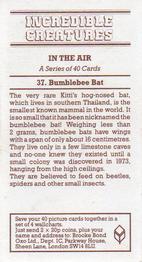 1985 Brooke Bond Incredible Creatures (Sheen Lane address) #37 Bumblebee Bat Back
