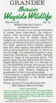 1988 Grandee Britain's Wayside Wildlife #15 Brimstone Butterfly Back