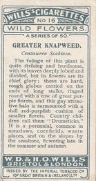 1923 Wills's Wild Flowers #16 Greater Knapweed Back