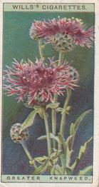 1923 Wills's Wild Flowers #16 Greater Knapweed Front