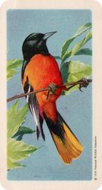 1959 Brooke Bond (Red Rose Tea) Songbirds of North America #18 Baltimore Oriole Front