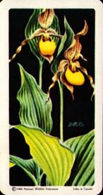 1961 Brooke Bond (Red Rose Tea) Wild Flowers of North America #12 Large Yellow Lady's Slipper Front
