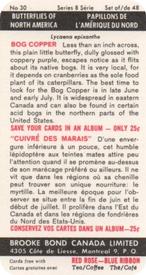 1965 Brooke Bond (Red Rose Tea) Butterflies of North America #30 Bog Copper Back