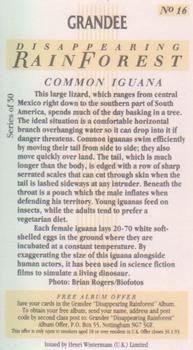 1991 Grandee Disappearing Rainforest #16 Common Iguana Back
