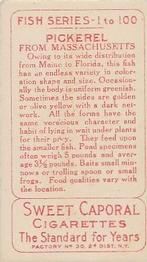 1910 American Tobacco Co. Fish Series (T58) #NNO Pickerel from Massachusetts Pond Back