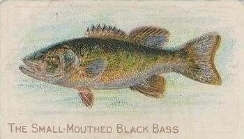 1910 American Tobacco Co. Fish Series (T58) - Piedmont Cigarettes Factory 25 #NNO Small Mouthed Black Bass Front