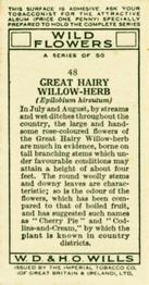 1936 Wills's Wild Flowers #48 Great Hairy Willow-Herb Back