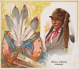 1888 Allen & Ginter The American Indian (N36) #NNO Bull Head Front