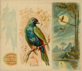1890 Allen & Ginter Song Birds of the World (N42) #NNO Azuvert Front