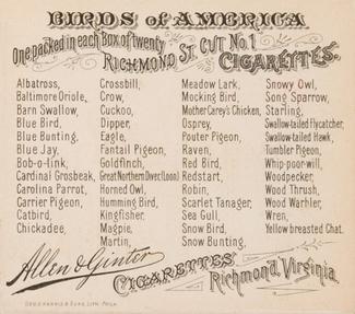 1890 Allen & Ginter Birds of America (N37) #NNO Humming Bird Back