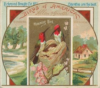 1890 Allen & Ginter Birds of America (N37) #NNO Humming Bird Front