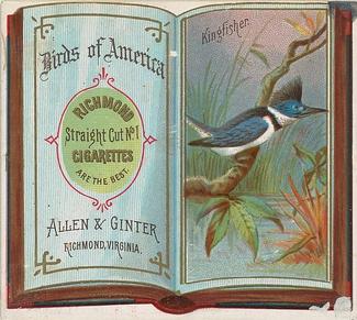 1890 Allen & Ginter Birds of America (N37) #NNO Kingfisher Front