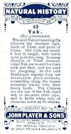 1924 Player's Natural History (Small) #49 Yak Back