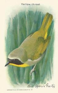 1938 Church & Dwight Useful Birds of America Ninth Series (J9-5) #2 Yellow-throat Front