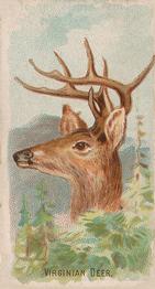 1910 Philadelphia Confections Zoo Animals (E29) #44 Virginian Deer Front