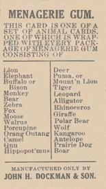 1910 Dockman & Son Menagerie Gum (E26) #NNO Camel Back
