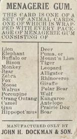 1910 Dockman & Son Menagerie Gum (E26) #NNO Tiger Back