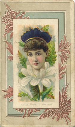 1888 W. Duke, Sons & Co. Fairest Flowers in the World (N106) #NNO Tube Rose / Theresa Vaughn Front