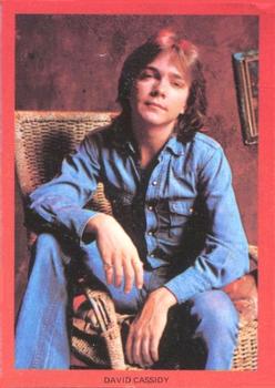 1973 Monty Gum Hit Parade Stickers #NNO David Cassidy Front