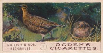 1905 Ogden's British Birds #1 Red-Grouse Front