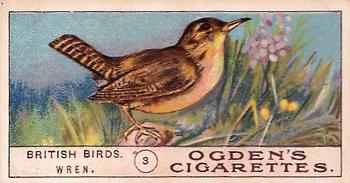 1905 Ogden's British Birds #3 The Wren Front