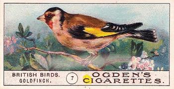 1905 Ogden's British Birds #7 Goldfinch Front