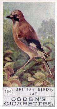 1909 Ogden's British Birds 2nd Series #84 Jay Front