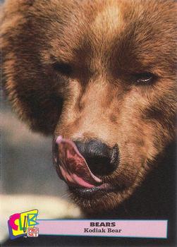 1992 Club Pro Set Bears - Silver #7 Kodiak Bear Front