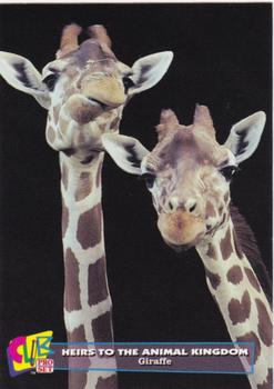 1992 Club Pro Set Heirs to the Animal Kingdom - Gold #12 Giraffe Front