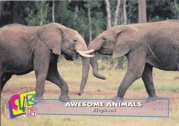 1993 Club Pro Set Awesome Animals - Silver #3 Elephant Front