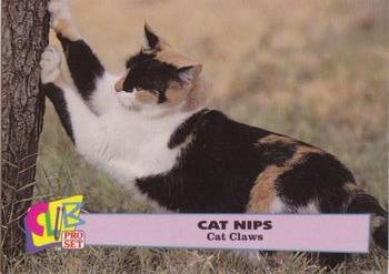 1992 Club Pro Set Cat Nips #7 Cat Claws Front