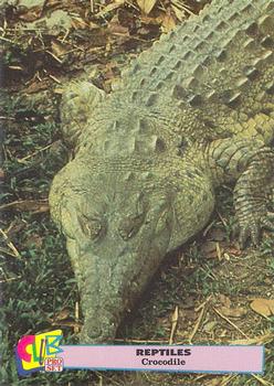 1992 Smithsonian Institute Reptiles - Silver #3 Crocodile Front