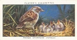 1937 Player's Birds & Their Young #34 Hedge Sparrow Front