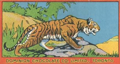 1923 Dominion Chocolates Animals (V30) #2 Tiger Front