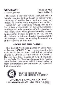 1975 Church & Dwight Birds of Prey Series 1 #6 Goshawk Back