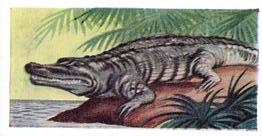 1956 Dryfood Ltd Animals of the World #2 Crocodile Front