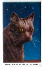 1937 Facchino's Chocolate Wafers How or Why #49 Why can a cat see in the dark? Front