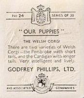 1936 Godfrey Phillips Our Puppies #24 The Welsh Corgi Back