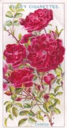 1926 Wills's Roses #11 Excelsa Front