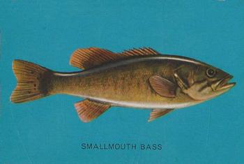 1962 Parkhurst Fish (V339-19) #47 Smallmouth Bass Front