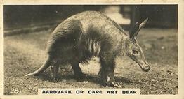 1927 Wills's Zoo #25 Aardvark or Cape Ant Bear Front